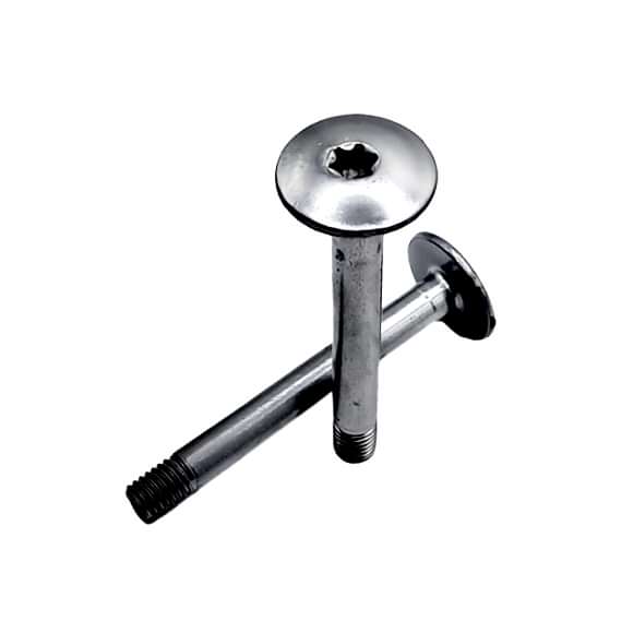 Torx Head Bolt